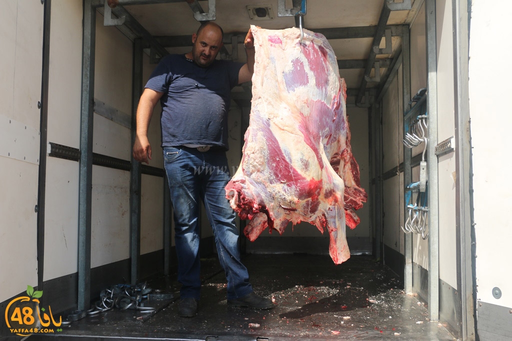 ada7y forthei (73).JPG